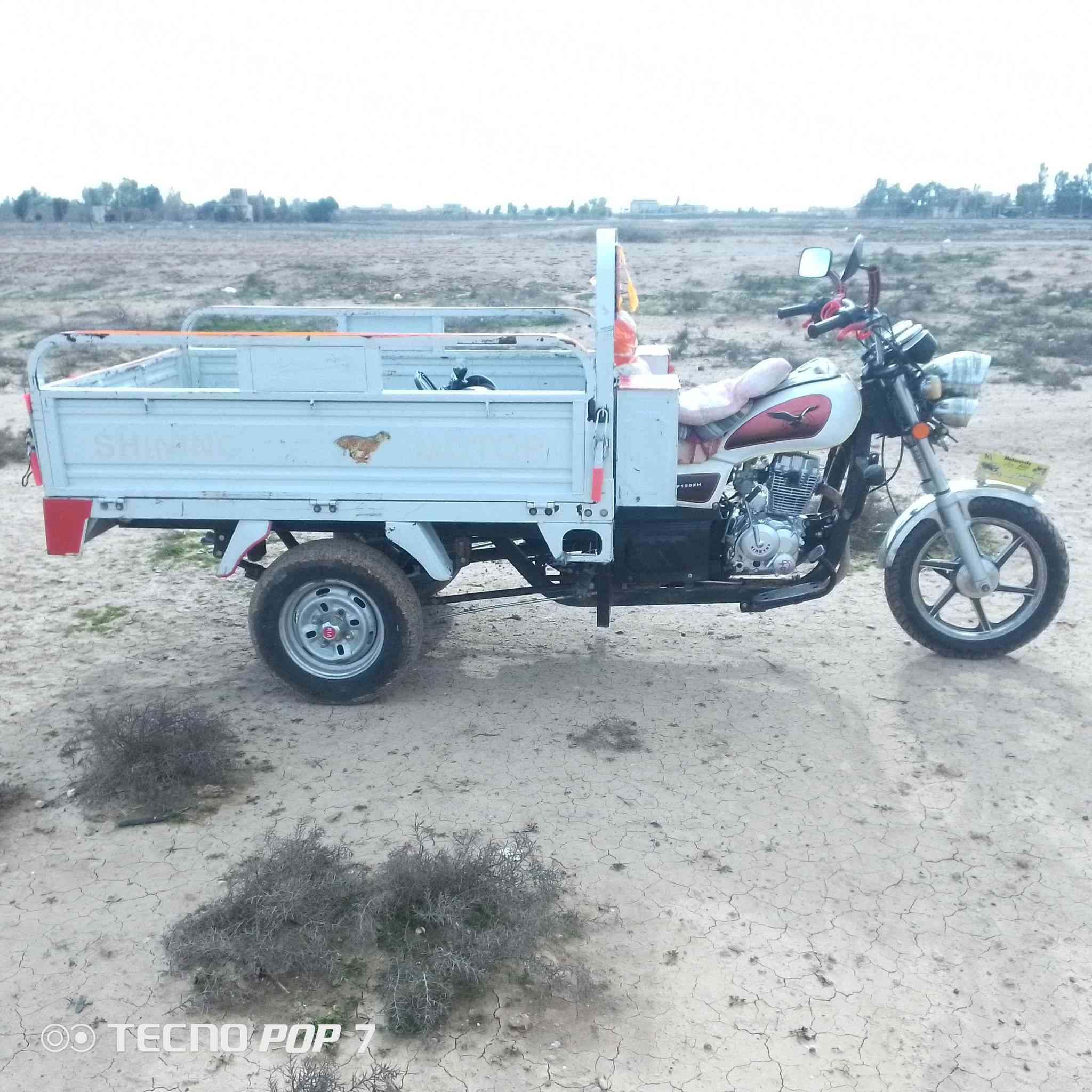 السلام عليكم سوته موديل 20محرك بلكارتون25كله بلادي بليتةبيه السعر1,400ترهم مراوس فحل عالي فقط صيغ بلادي ***********
