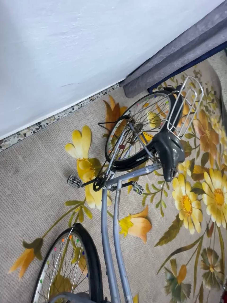 السلام عليكم  البيع بايسكل بناتي نمره وحده مكينه جديد الون اسماي وجاملخاته سود تايرات جديد جوابه  جديد بريك امامي خلفي شغالات موديل 2016موجود رقم بل لشه


**إذا كنت صاحب هذا الإعلان وتريد حذفه لأي سبب، رجاءا أرسل رسالة إلى الدعم الفني**