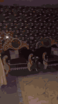 تخم • صوفا • بغداد مدينه الصدر