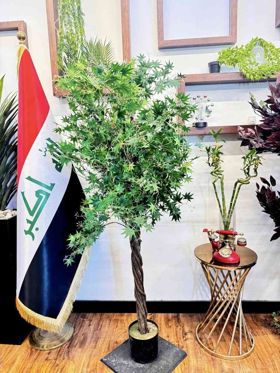 🌿✨ شركة الشارقة للديكور ✨🌿
تقدم لكم أجود أنواع النباتات الصناعية
والسنادين المصنوعة من الفوم التركي الأصلي 🌱
🌟 جودة عالية
🌟 تصاميم عصرية تناسب جميع الديكورات
🌟 خفيفة الوزن ومقاومة للعوامل الجوية
🌟 بأسعار منافسة ومناسبة للجميع
📍 يتوفر توصيل
📞 للحجز والاستفسار. ***********
