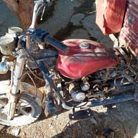 ستوتة • بلا أوراق • بغداد الدورة