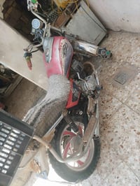 جونده • ٢٠٠٨ • اوراق