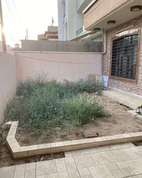 حي العدن • طابو ملك صرف • ٢٥٠م