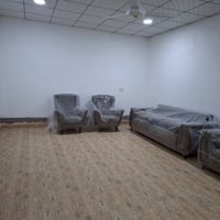 تخم تركي • ١٠ نفرات • زيتوني