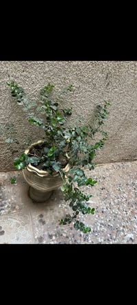 مدينة الصدر • توصيل
