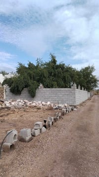 السعر 65  قطعة400 متر، واجهة 15 ونزال 30 سند25، السند بأسمي، خدمات كاف...