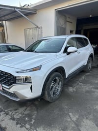 سنتافي • ٢٠٢٣ • ضرر خلفي