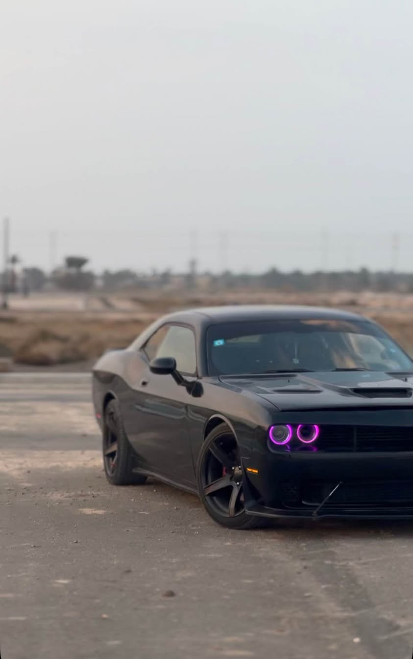 دوج جالنجر  RT  هيمي 5.7 .
مديل 10 ومحدثة 23 امامي وخلفي وتحديث مال srt  لحاية وسبايدر ودفيوزر كلهن مال srt .
السيارة تقريرها سرقة وداخلة كلين بدون ضرر . السيارة جان عليها وشم وشلتة ف بقة الاثر مالتة اخذتها لبو اختصاص رشها كلير . السيارة شخط ما بيها 
رقم بغداد دولي بأسم صديقي 
علية برمجة بانزين عادي ومراوح وكت اوف
اكسل srt
ويل 18 اصلي .
السيارة استخدام شخصي مو استعراض .
عليها بلكات ريسنك وفيول بم ريسنك ونوزلات ريسنك .
وتحديث كامل مال srt 
بنيد 3 فتحات 
كشنات جلد 
مكاني البصرة قضاء المدينة البصرة, العراق


**إذا كنت صاحب هذا الإعلان وتريد حذفه لأي سبب، رجاءا أرسل رسالة إلى الدعم الفني**