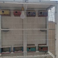 قفص تفصال ارتفاع مترين و١٠ العرض متر و٢٠ ونزال ٥٠سم السعر ١٦٠ الف المك...