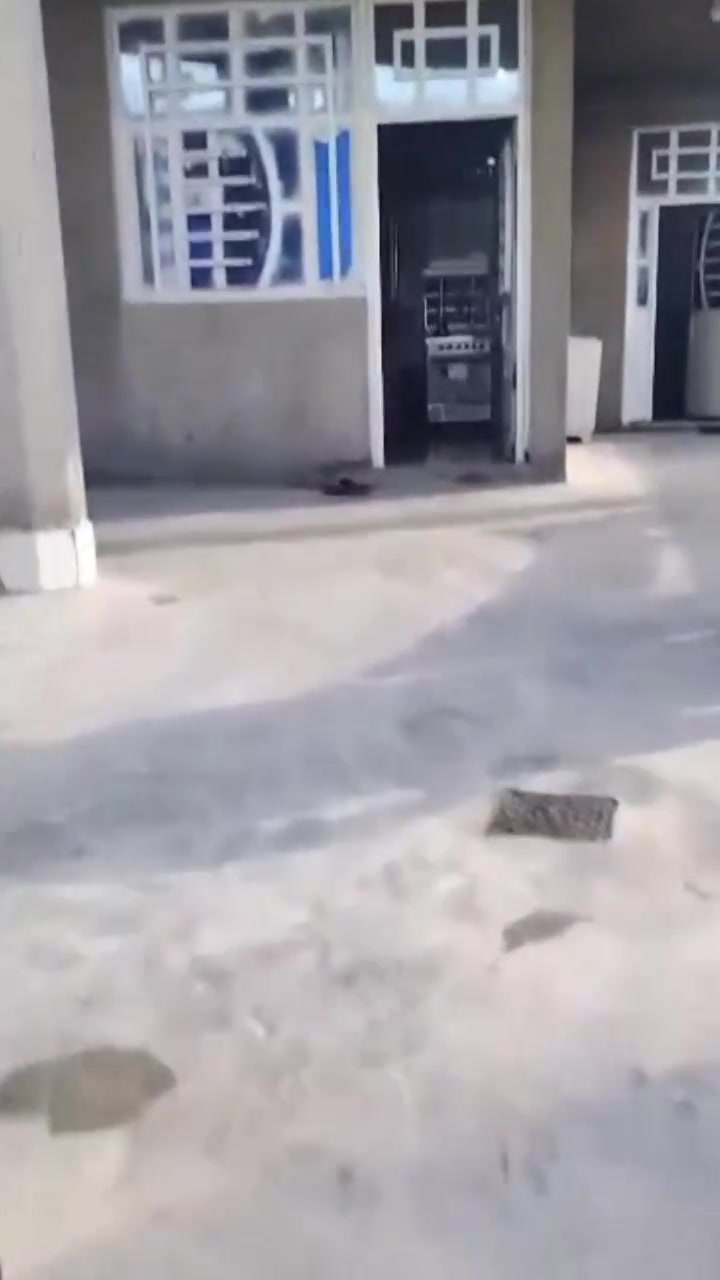 السلام عليكم 
بيت للبيع كافة الخدمات ، مي ،  كهرباء ، تبليط ، سحب 
العنوان / تقاطع النهروان منطقة الخنساء ، كافة الخدمات 
الرقم / ***********  
لا يوجد خاص فقط اتصال .
