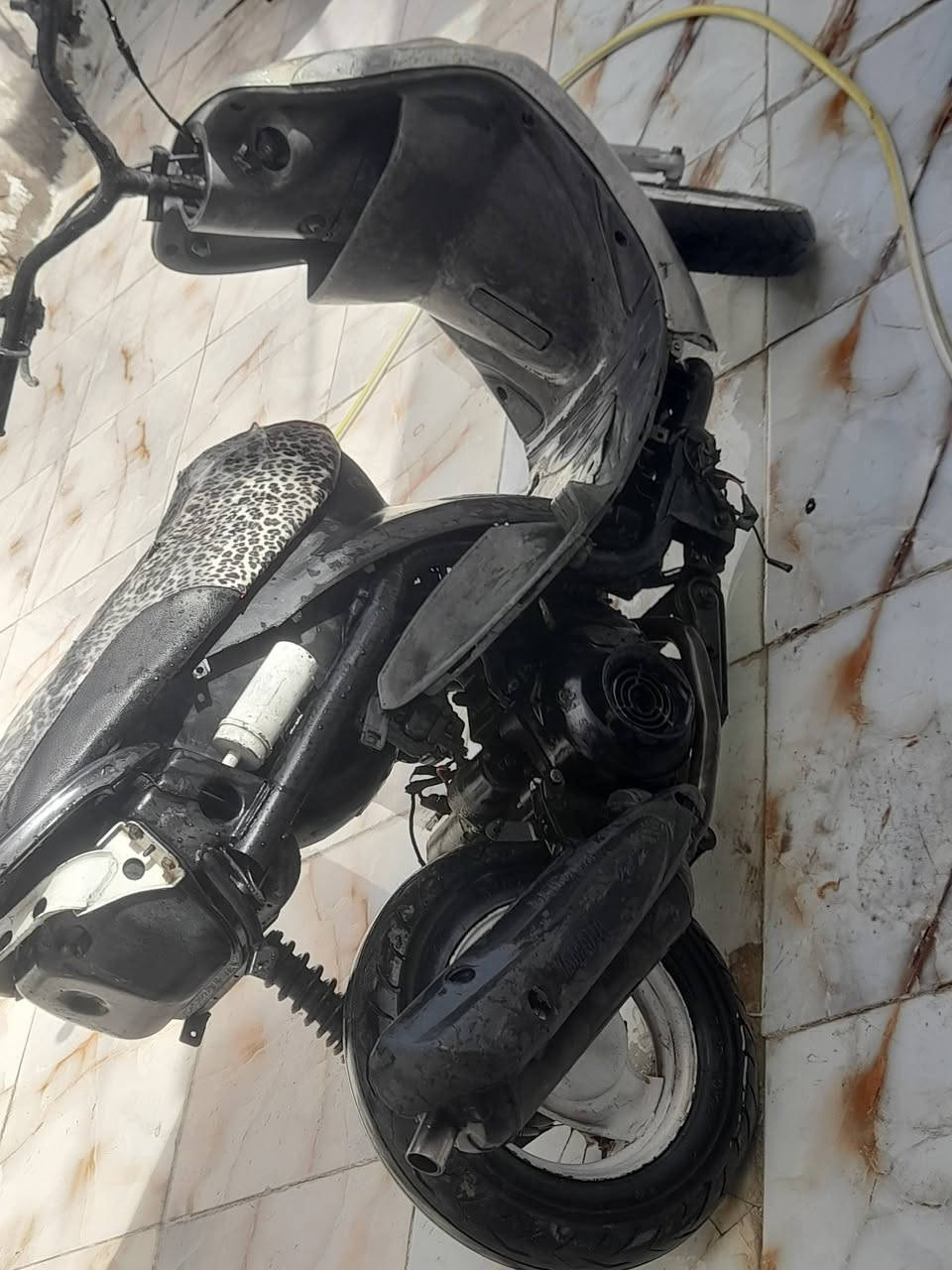 ماكس منغولي مفتوحه ولفات فقط للبيع ناصريه مركز ***********
