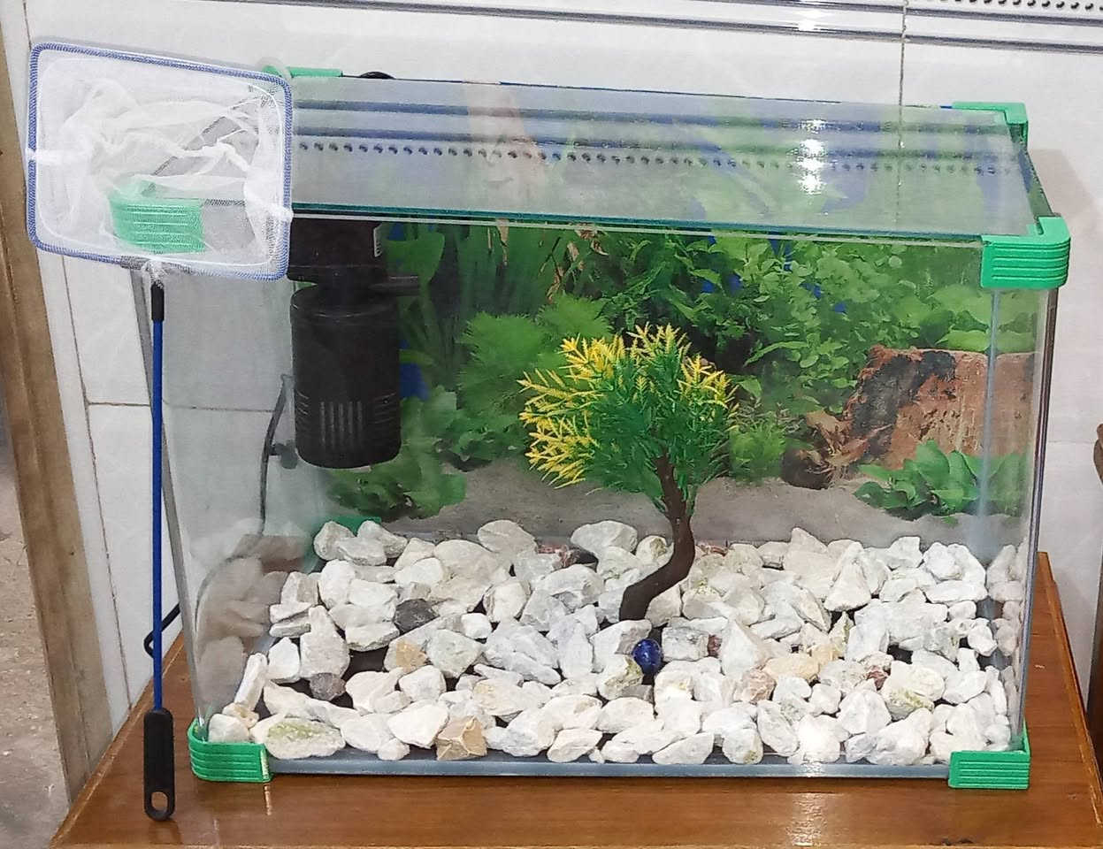 حوظ اسماك زينه 50x30
ماطوره فلتر ضخ هواء وتصفيت ماء الحوض
شبكة صغيره للسمك ولتنظيف الحوظ 
شجرة زينه مع حجر الحوض وعلبة اكل
المكان سبع البور / الضباط السعر ٤٠ الف وبيها مجال
تواصل واتساب ***********
