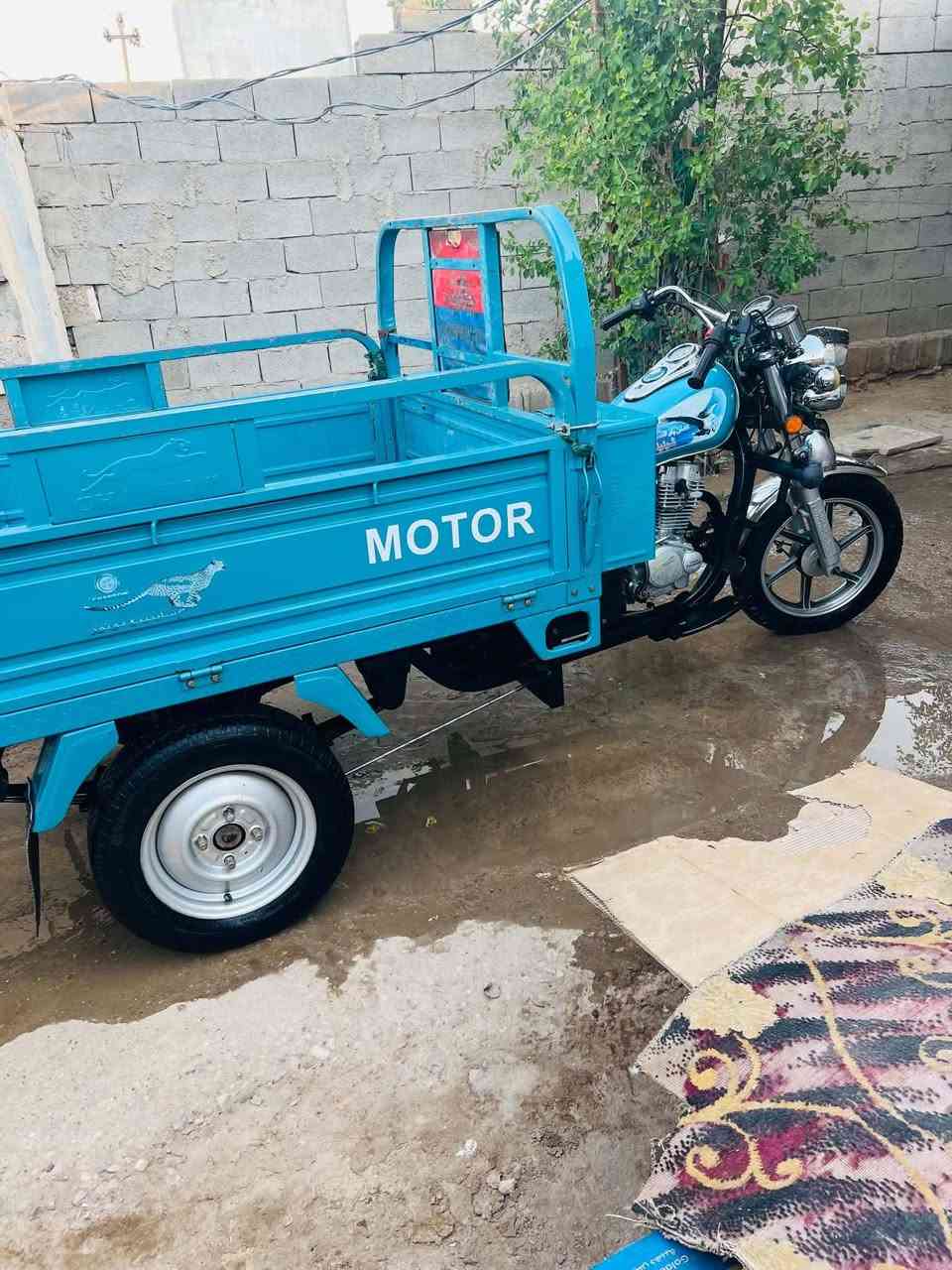 السلام عليكم ستوته للبيع جمره موديل 2023 كهربائيات شقاله تخم تاير باتري جديد مكفوله كفاله عامه رقم واسنويه تحويل ثاني يوم الشراي يتصل على الرقم ***********غير متواجد على الفيس اني مكلف بل النشر
