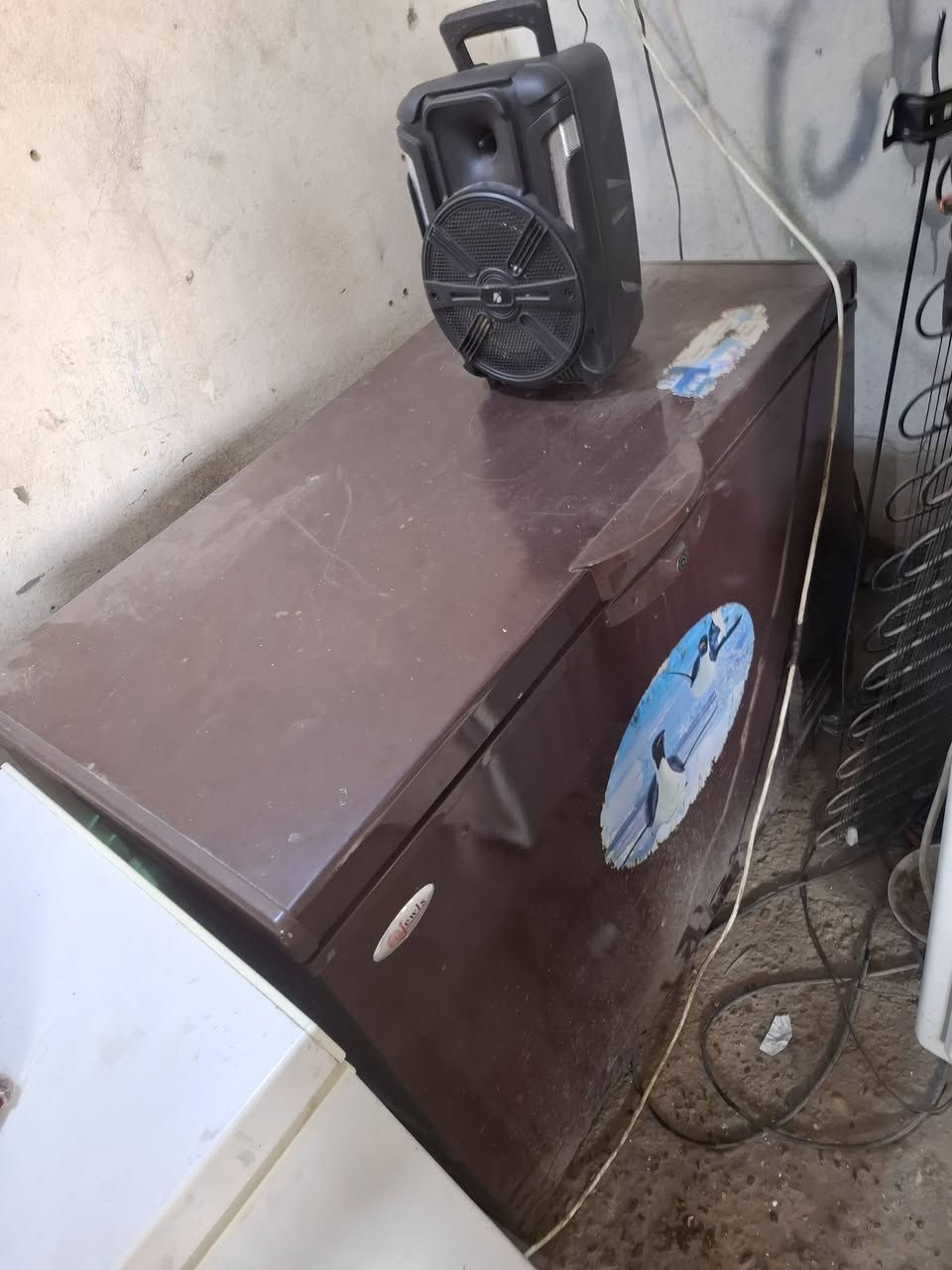 ***********
العنوان محمودية. مع الضمان.

