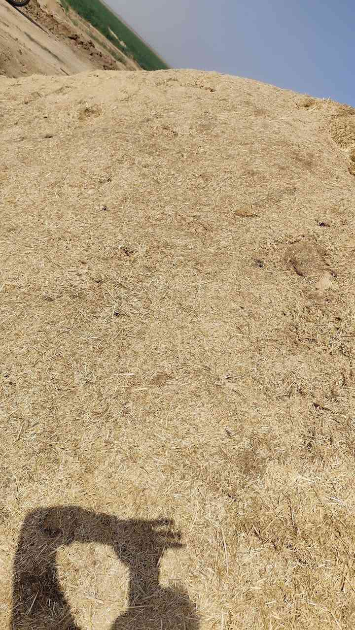 السلام عليكم
يوجد تبن للبيع
نضيف ابيض المكان ديالئ /العظيم
الهاتف ***********
