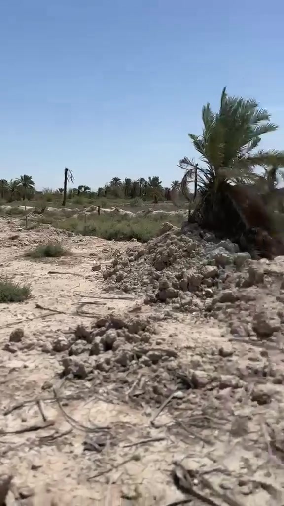 🏡 بيت للبيع في البصرة — منطقة المسحب حرير 🏡
📍 الموقع: البصرة — منطقة المسحب حرير
📐 المساحة: 250 متر طابو زراعي 
✨ تفاصيل البيت:
▪️ يحتوي على 3 غرف 5/4
▪️ منوّر
▪️ هول داخلي
▪️ مشتملات كاملة
▪️ ديوان كبير
🌿 إضافة مميزة:
قطعة أرض تابعة للبيت بمساحة نصف دونم ماي حلو واصل للباب والكهرباء ضفيره خاصه بس بلبيت
📞 للاستفسار والمشاهدة:
راسل خاص أو اتصل مباشرة. ***********
