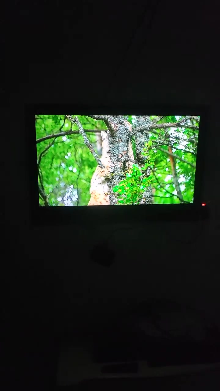 شاشة بلازمه  Tokkma حجم 32 مع جهاز TVBOX مع كامل ملحقاته الشاشه شغاله 100% الوان واضحة منافذ HD  عدد 2 السعر 120 الف مع الجهاز وبيهم مجال 
*********** واتساب 📞
