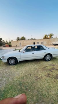 شيزر • ضربه وصبغ • رقم بصره