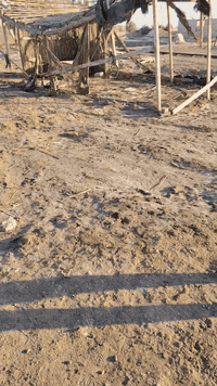 سلام عليكم قطعه زراعي البيع مكان ساده شرمطه مساحه 535 موجوده كافت خدمات ماي كهرباء مدارس قريبه تصل علئ رقم ***********
*********** موجود وتساب
