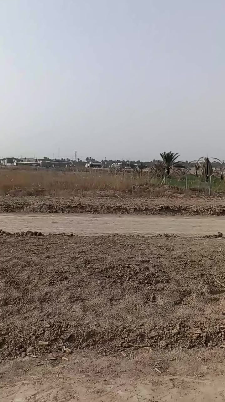 طريق ديوانيه دغارة الحولي 19 دونم للبيع كاملات وليس تقطيع ***********
