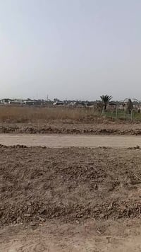 ديوانية دغارة • ١٩ دونم • بكاملها