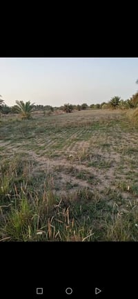 ٢٠ دونم • ١٢٠ نخلة • قضاء الحي واسط