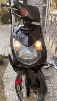 فحل • نوزل گولد • مراوس