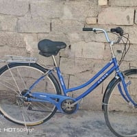 باسكل • حجم 27 • المقدادية