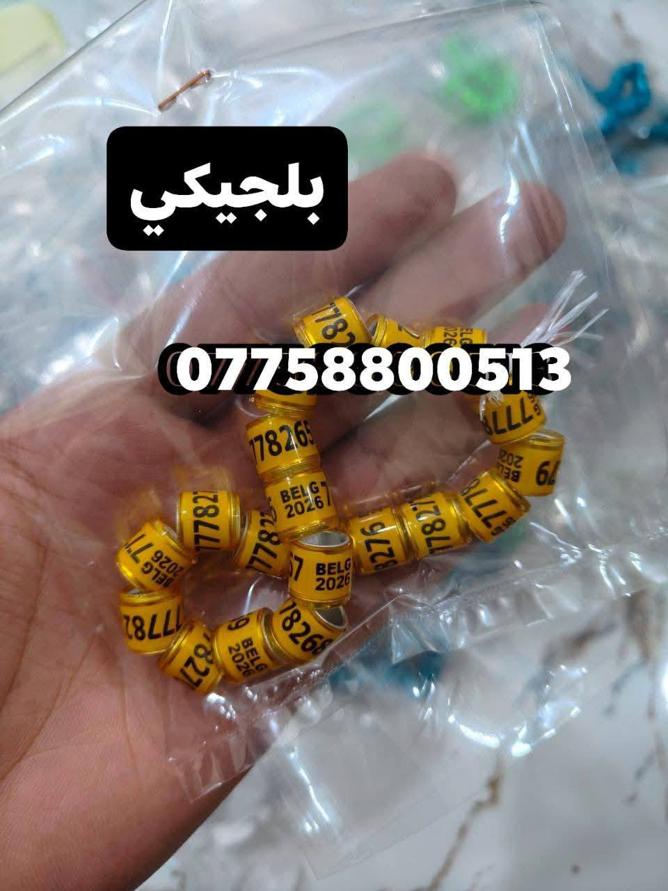 تريد تميز طيورك #اخوان #وصلت وجبه جديده 2026 2027 حجول رابطه الزواجل اجنبيه #درجه اولئ حجول ميز طيورك #السعوديه والعراق #تلبيس للكبار وصغار هم موجود  والكويت والماني بلجيكا هولندا توصيل موجود لكافه محافظات 🚗🚕 للحجز واتساب او اتصالل

***********
