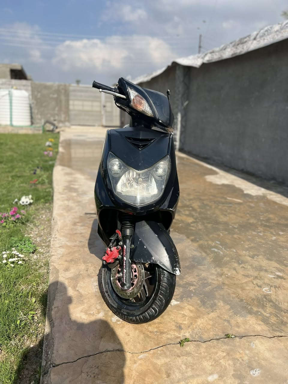 سلام عليكم سكنس فحل 600وبيه مجال. ***********
