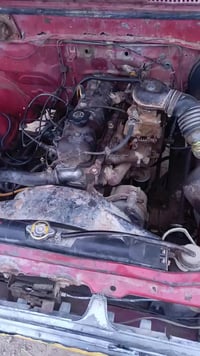 بيكم • ١٩٨٢ • بابل محاويل