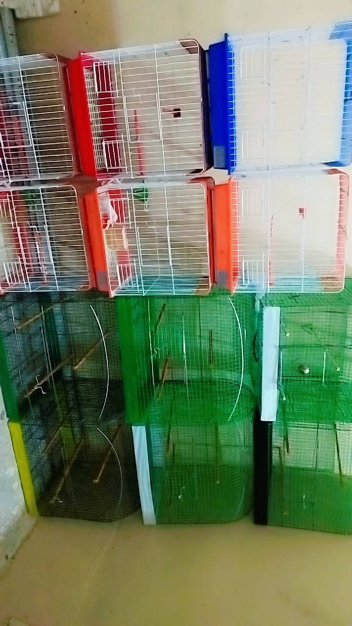 وصول اقفاص كركوك وبيوت طيور حب شغل درجه اولى اسعار مناسبه مكاني سامراء للاستفسار الاتصال
***********

توصيل موجود
