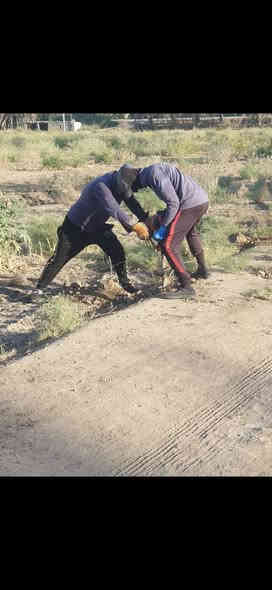 عمل ونصب اسيجه البيارسي بأنواعه الاسعار حسب نوعيه سمك السيم نعمل في جميع محافظات العراق للاستفسار الاتصال ***********
*********** واتساب
