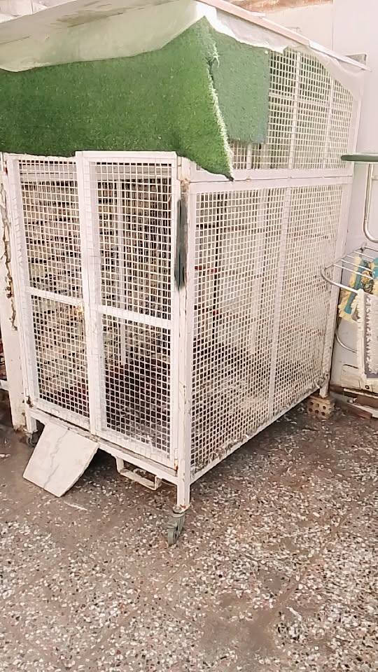 سلام عليكم
قفص حديد البيع 
ثقيل 
سعر 200 وبي مجال 
التواصل على الرقم 
***********
علوان بغداد حي اور
