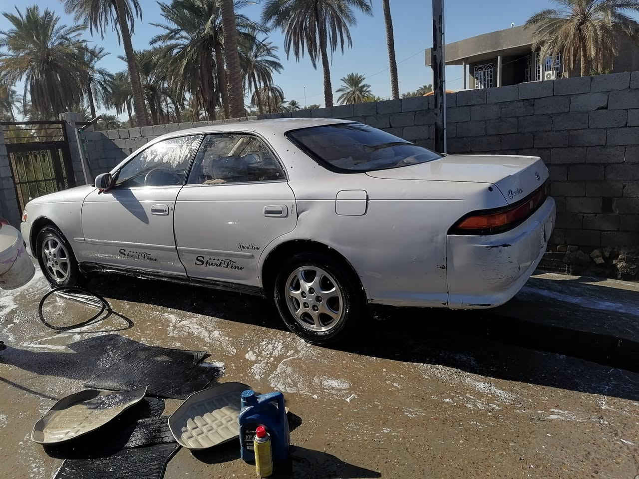 مارك نفخ موديل 93 مكفوله من الكص ونقل الجثه مكنيه ونجي تبخر كير حاويه ستوني شاده رقم انبار سنويته ل28
السعر ب55 بيه مجال قليل
***********
