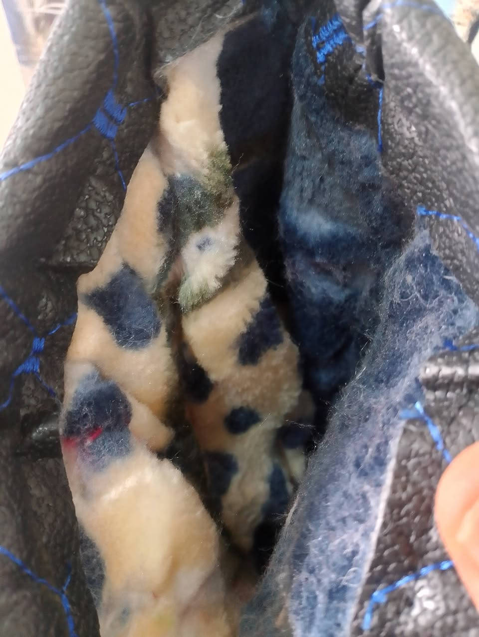 #صلي على حبيب كلبك يطيب اللهم صل على محمد وال محمد #السلام عليكم مواد احتياطيه لدراجات 🏍️🏍️ الناريه بانسب الاسعار رقم المحل ١٨ بل قرب من محل أبو يوسف المختار #للتصال عل رقم ***********/  #سعار خياليه #البيع نقد البيع نقد 💸نعتذر عن البيع بدين
