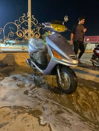 فراشه • مكينه مامفتوحه • معدل فول