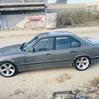 جنوط هامان • ١٨ انش • بابل جبلة