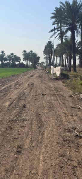 السلام عليكم يوجد دونم للبيع منطقة المدائن الجعاره 
واجهه 42 طابو ملك صرف 
خدمات ماء كهرباء شارع 8متر يبعد عن سده 100 متر 
الاستفسار ***********جهاد الشمري
