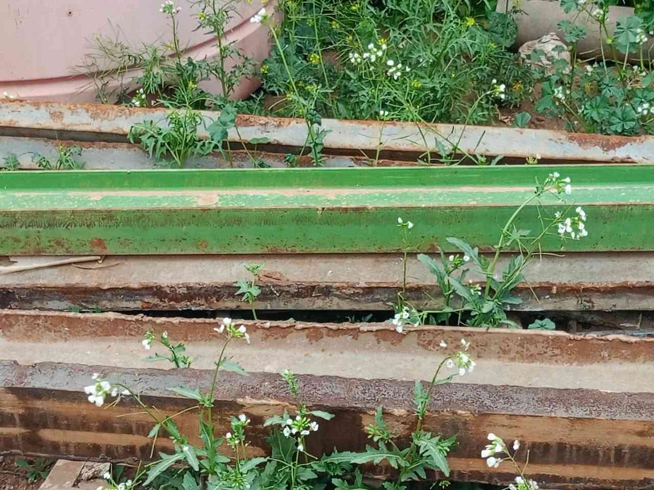 شيلمان درجه اولى عدد 11الطول 4مترو3ونص


**إذا كنت صاحب هذا الإعلان وتريد حذفه لأي سبب، رجاءا أرسل رسالة إلى الدعم الفني**