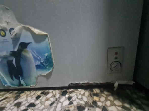 مجمدة صغيرة الحجم دنكا باب اول بسعر ١٠٠ الف تجميد ممتاز ونظيفة جدا بدون تصليح فقط بيها هذا العيب البسيط  المبين من الاسفل بالصورة  لمن يرغب بالشراء المراسلة على الخاص او الاتصال على الرقم *********** بغداد
