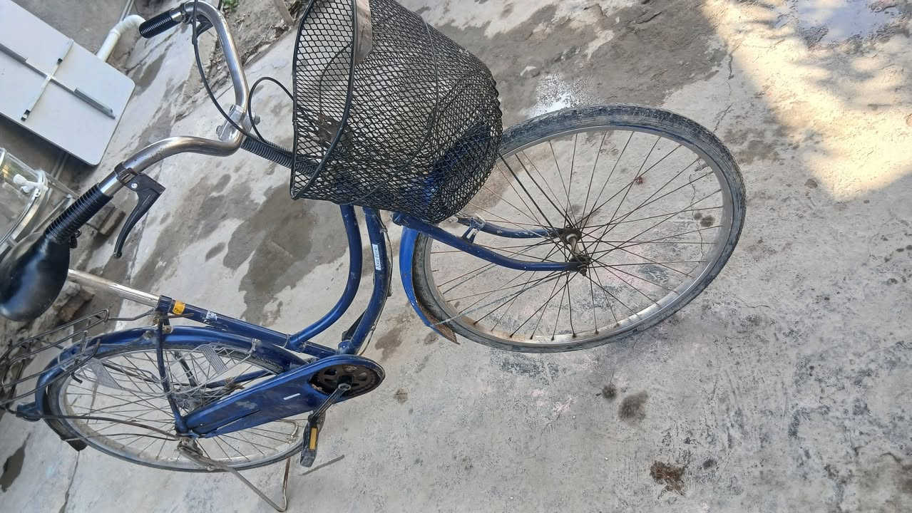 بايسكل موزة حجم 26 بالة حاويات اصلي جاهز من كلشي سعر 65 الف


**إذا كنت صاحب هذا الإعلان وتريد حذفه لأي سبب، رجاءا أرسل رسالة إلى الدعم الفني**