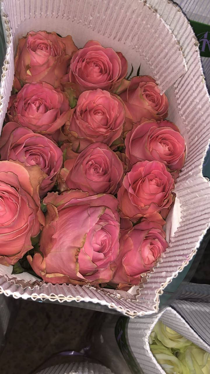 😊 #للتواصل مع *محل #بيبي #روز

#الموقع #الرفاعي، قرب #الجامعة #سومر
: باقات ورد #طبيعية، تنسيق حفلات، هدايا 🎁
- *التوصيل*: متوفر داخل الرفاعي 📍
- *رقم الهاتف *********** ]
