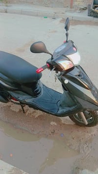 للبيع فقط بريز ببغاء ياباني سكليتر خطين  ماشيه ٣٥ الف حقيقي ما نقصها ب...