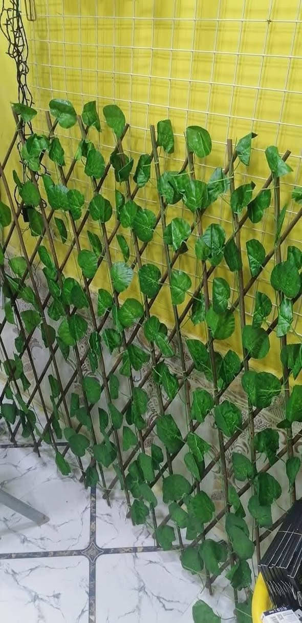 توفر من جديد 😍 سياج خضار متعدد الاستخدامات 

ارتفاع متر ويمتد حتى مترين  💯✅

السعر 12 الف فقط 🔥 متوفر توصيل 🚗🚕


**إذا كنت صاحب هذا الإعلان وتريد حذفه لأي سبب، رجاءا أرسل رسالة إلى الدعم الفني**