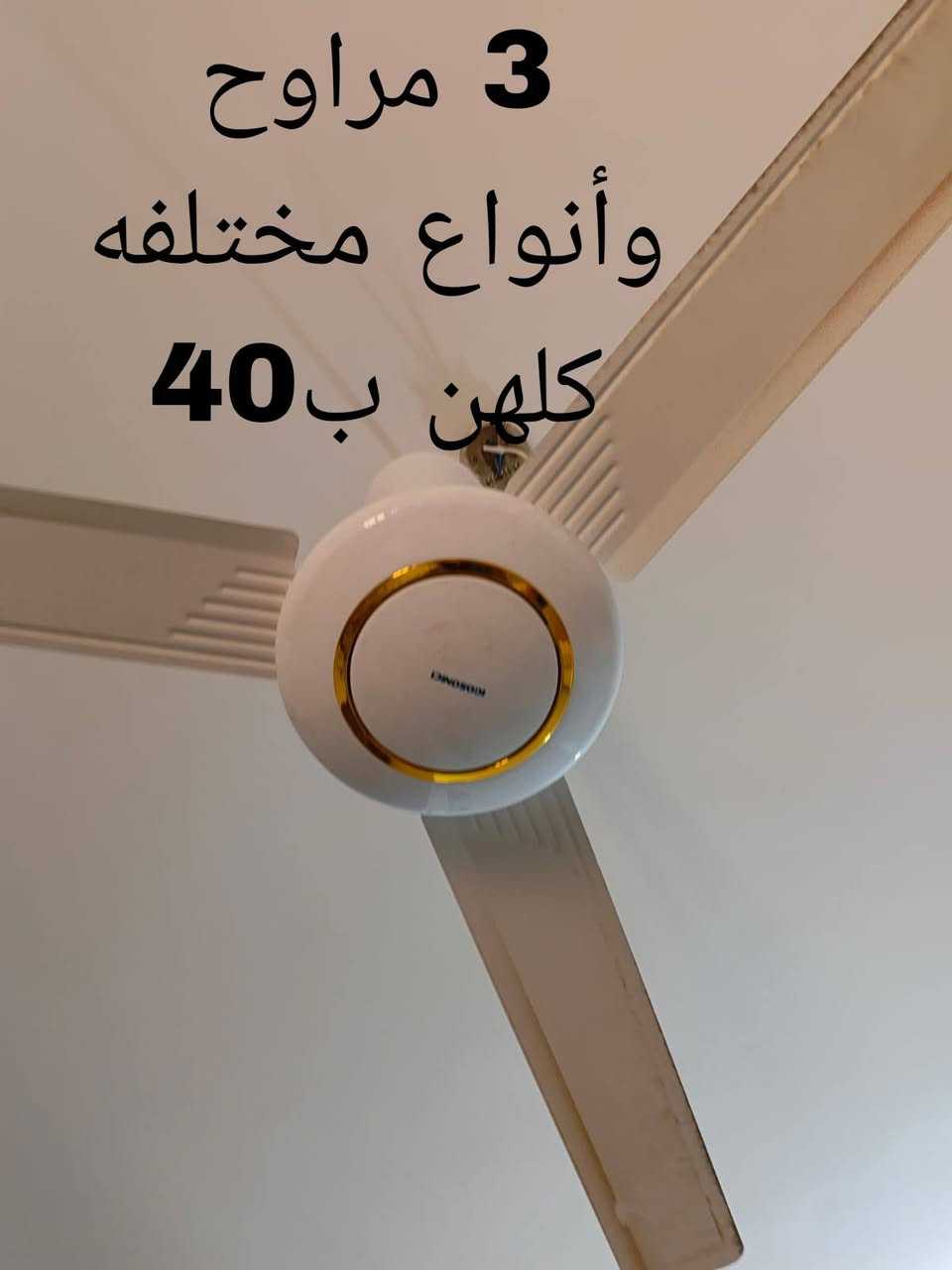 السلام عليكم غراض بيت للبيع كل حاجه موجود سعرها ع الصورة.سبب البيع السفر.اذا مو شراي رجائا لتكسر بالسعر المكان بابل الحله.للتواصل موجود ع الخاص
وهذا رقمي بي واتساب هم ***********
