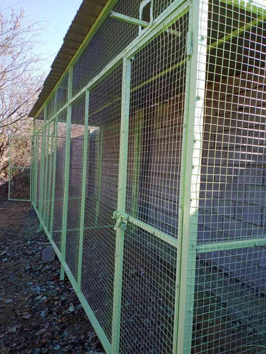 حداده سامراء, صلاح الدين
