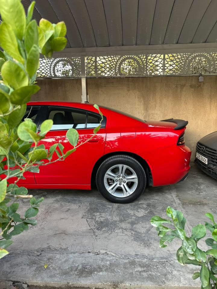 جارجر 2022 sxt اربيل كفالة عامة
السعر 265
السلام عليكم للبيع دودج جارجر 2022  sxt اربيل باسمي  بيها منظومه غاز ايطالية سنويه لل 2029 
ماشيه 68 الف كيلو متر بيها رصعتين فقط صور الحادث مرفقة عليها تخم اناره امامي  ليد وبلوجكترات اصلية وبيها ليد داخلي سياره جديده كل نقص مابيها
مكاني بغداد شارع فلسطين قرب الجامعة المستنصرية للاستفسار ***********
