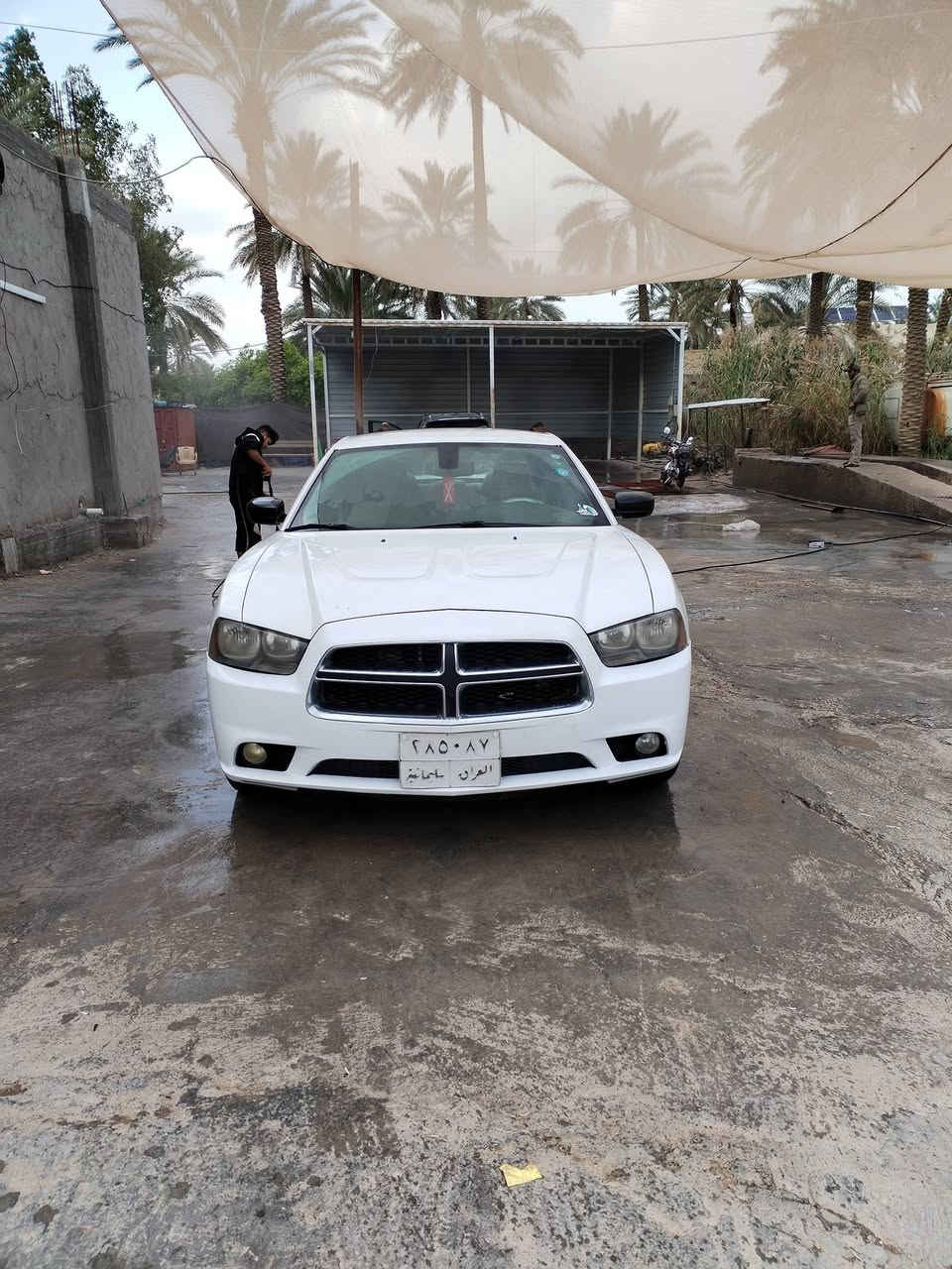 السلام عليكم اخوان للبيع فقط جارجر موديل ١٤ كلين تايتل رقم سليمانيه مسؤول عن التحويل او وكاله جاهزه من كلشي مكاني بابل *********** السعر ١٦٠ مكلف بلنشر
