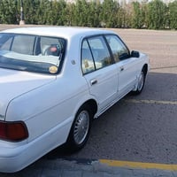 أرنب • ١٩٩٤ • رقم بغداد